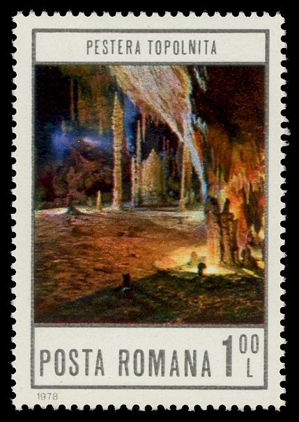 Topolnita