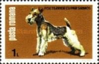 Fox Terrier (Canis lupus familiaris)