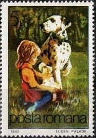 Dog as Friend (Canis lupus familiaris)