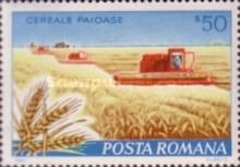 Wheat Farm and Combine Harvesters