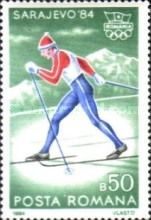 Cross-country Skiing