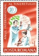 Young Researchers