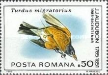 American Robin (Turdus migratorius)