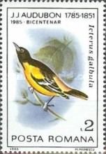 Baltimore Oriole (Icterus galbula)