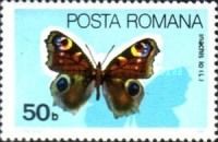 European peacock (Inachis io)