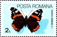 Red Admiral (Vanessa atalanta)