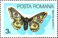 Small emperor moth (Saturnia pavonia)