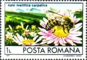 Carpathian Honey Bee (Apis mellifica carpatica), Landscape