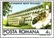 Carpathian Honey Bee, Building of Beekeepers Association, Bu