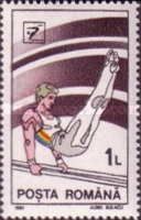 Parallel Bars