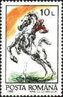 Horse (Equus ferus caballus) with Rider