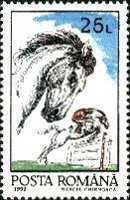 Horse (Equus ferus caballus)