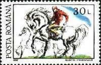 Horse (Equus ferus caballus) with Rider