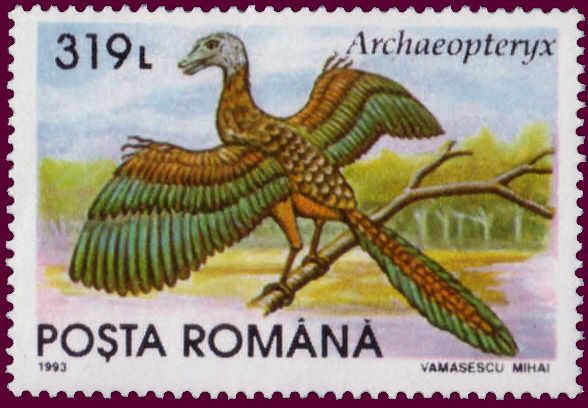 Archaeopteryx