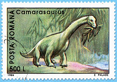 Camarasaurus