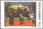 Asian Elephant (Elephas maximus) in Circus