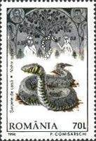 European Grass Snake (Natrix natrix), Adam and Eve