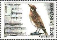 Eurasian Skylark (Alauda arvensis)