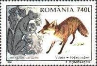 Red Fox (Vulpes vulpes)
