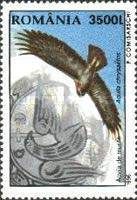 Golden Eagle (Aquila chrysaetos)