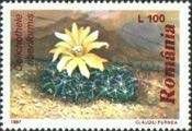 Finger Cactus (Dolichothele uberiformis)