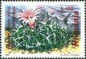 Brain Cactus (Echinofossulocactus lamellosus)