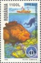 International Year of Oceans
