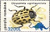Willow Leaf Beetle (Chrysomela vigintipunctata) Overprinted