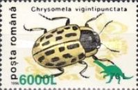 Willow Leaf Beetle (Chrysomela vigintipunctata) Overprinted