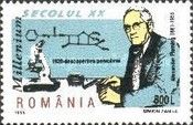 Alexander Fleming, Discovery of Penicillin, 1928