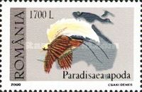 Greater Bird-of-paradise (Paradisaea apoda)