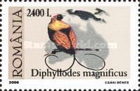 Magnificent Bird-of-paradise (Diphyllodes magnificus)