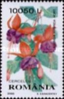 Garden Fuchsia (Fuchsia hybrida)