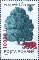 Large Leaf Pine (Tilia platyphyllos) - Surcharged