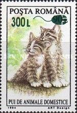Kittens (Felis silvestris catus) - Surcharged