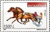 Harness Racing