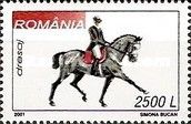 Dressage