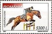 Steeplechase