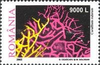 Red Coral (Corallium rubrum)