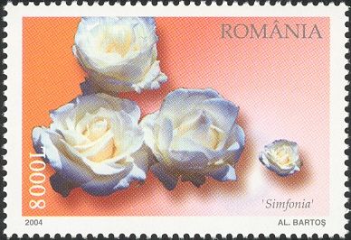 Simfonia