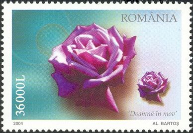 Doamnă în Mov (Lady in Mauve)