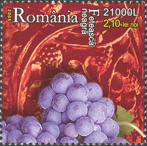 Fetească Neagră