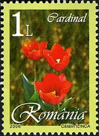 Cardinal