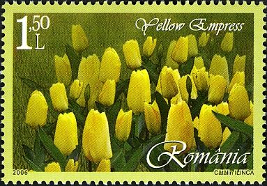 Yellow Empress