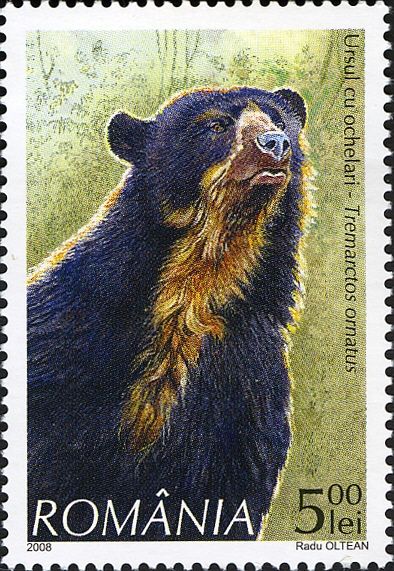 Spectacled Bear (Tremarctos ornatus)