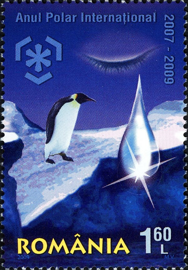 Penguin, Tear Drop