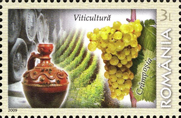 Viticulture