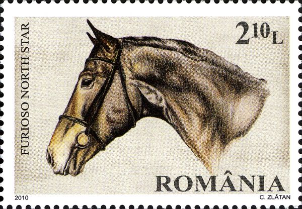 Furioso North Star (Equus ferus caballus)