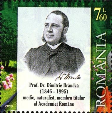 Prof. Dr. Dimitrie Brândză (1846-1895)