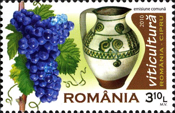 Grapes and Wine Pitcher